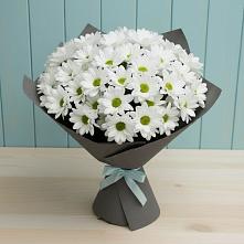 Букет цветов из:  Хризантемы #REPLACE_PRED# Нехаевской